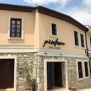  Otel Pintura