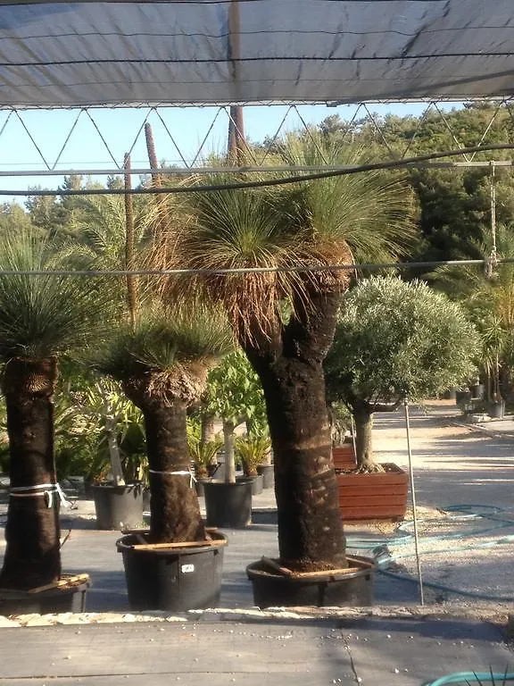 Two Rooms Hotel Urla